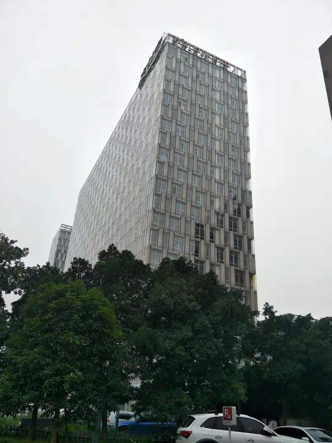 九五至尊